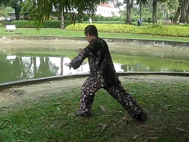 Shaolin 72 Chin-Na Techniques 2015